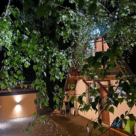 Vikendica Stojanovic Villa Mionica Kültér fotó