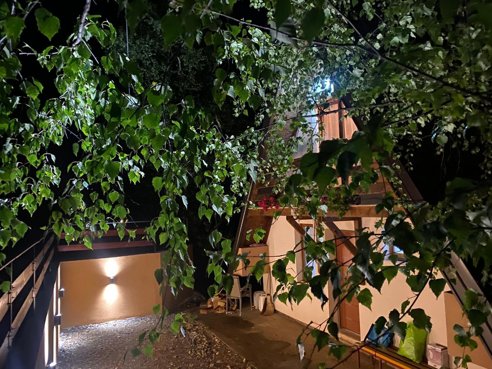 Vikendica Stojanovic Villa Mionica Kültér fotó